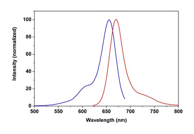 Fluorescence Microscopy - Phalloidin-iFluor 647 Reagent (AB176759), expandable thumbnail