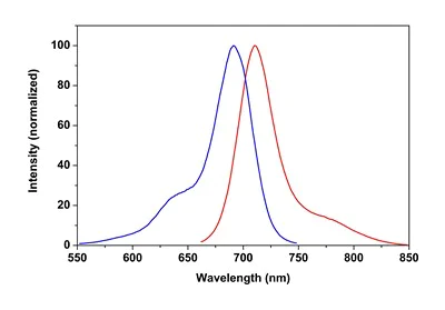 Fluorescence Microscopy - Phalloidin-iFluor 700 Reagent (AB176761)