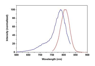 Fluorescence Microscopy - Phalloidin-iFluor 790 Reagent (AB176763)