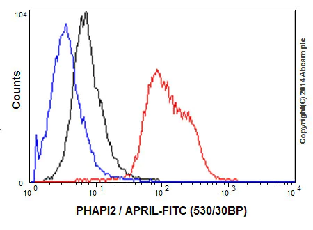 Flow Cytometry (Intracellular) - Anti-PHAPI2 / APRIL antibody [EPR14588] - BSA and Azide free (AB239014)