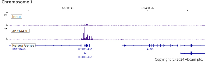 ChIP-sequencing - Anti-PHC2 antibody [EPR27147-176] - ChIP Grade - BSA and Azide free (AB314437), expandable thumbnail
