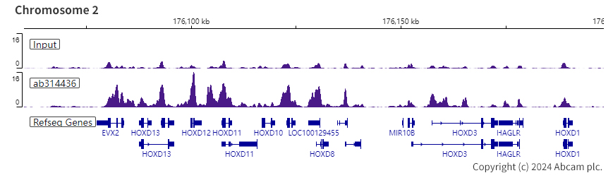 ChIP-sequencing - Anti-PHC2 antibody [EPR27147-176] - ChIP Grade - BSA and Azide free (AB314437), expandable thumbnail