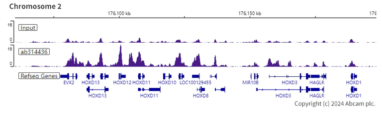 ChIP-sequencing - Anti-PHC2 antibody [EPR27147-176] - ChIP Grade - BSA and Azide free (AB314437)
