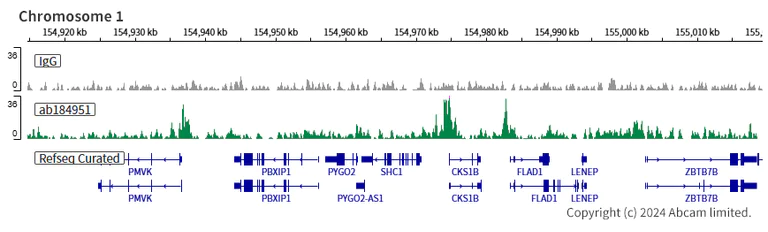 ChIC/CUT&RUN sequencing - Anti-PHD finger protein 1/PHF1 antibody [EPR14222] (AB184951)