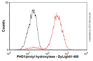 Flow Cytometry (Intracellular) - Anti-PHD1/prolyl hydroxylase antibody [EPR2745] (AB108980)