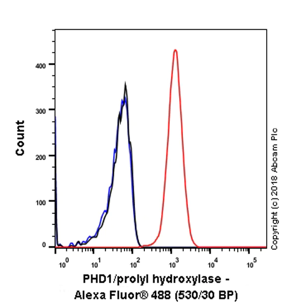 Flow Cytometry (Intracellular) - Anti-PHD1/prolyl hydroxylase antibody [EPR2746] (AB113077)