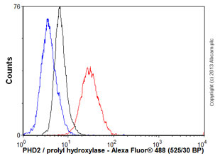 Flow Cytometry - Anti-PHD2 / prolyl hydroxylase antibody [366G/76/3] (AB103432)