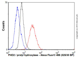 Flow Cytometry - Anti-PHD2 / prolyl hydroxylase antibody [366G/76/3] (AB103432)