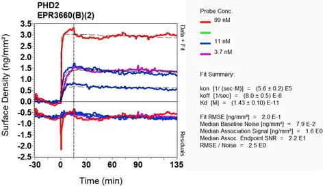 OI-RD Scanning - Anti-PHD2 / prolyl hydroxylase antibody [EPR3660(B)(2)] - BSA and Azide free (AB232565)