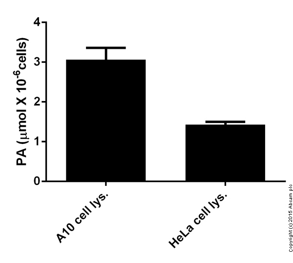 Functional Studies - Phenylalanine Assay Kit (Fluorometric) (AB83376), expandable thumbnail