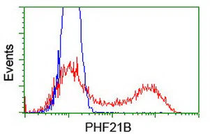 Flow Cytometry (Intracellular) - Anti-PHF21B antibody [OTI3D1] (AB119249)