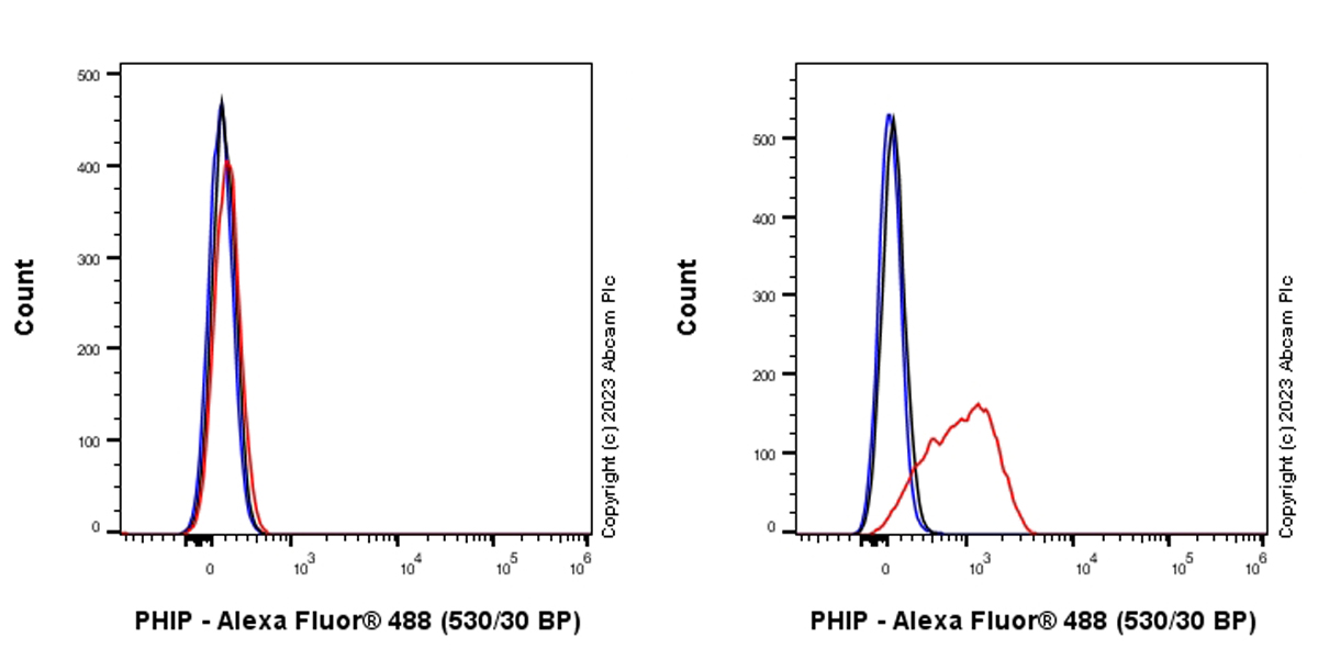 Flow Cytometry (Intracellular) - Anti-PHIP antibody [EPR27150-82] - BSA and Azide free (AB309963), expandable thumbnail