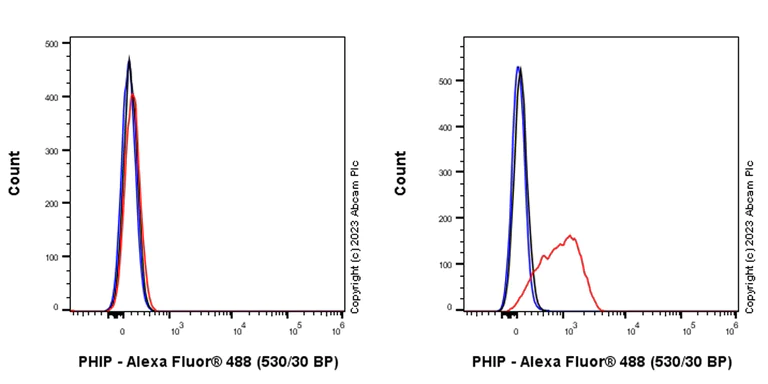Flow Cytometry (Intracellular) - Anti-PHIP antibody [EPR27150-82] - BSA and Azide free (AB309963)