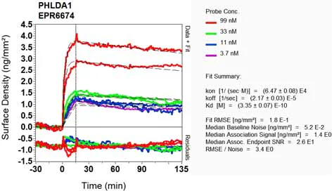 OI-RD Scanning - Anti-PHLDA1 antibody [EPR6674] - BSA and Azide free (AB240076)