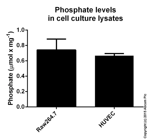 Functional Studies - Phosphate Assay Kit (Colorimetric) (AB65622)