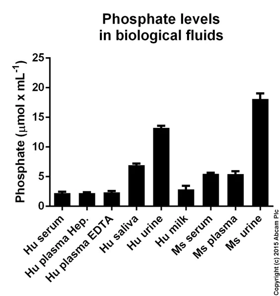 Functional Studies - Phosphate Assay Kit (Colorimetric) (AB65622)