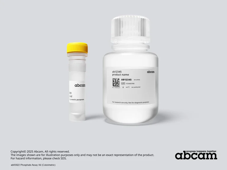 Other - Phosphate Assay Kit (Colorimetric) (AB65622)