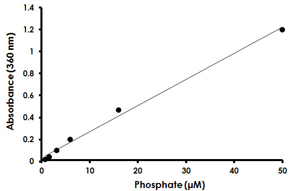 Functional Studies - Phosphate Assay Kit (Colorimetric - UV absorption) (AB219938), expandable thumbnail