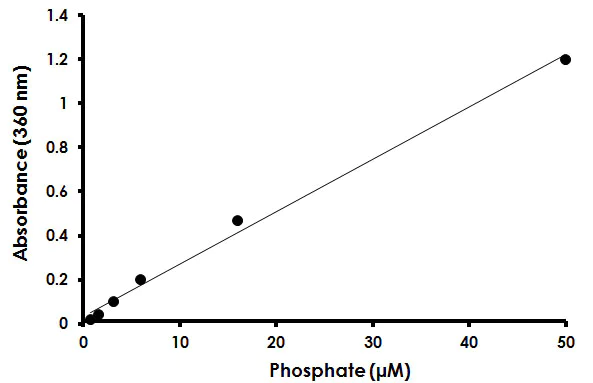 Functional Studies - Phosphate Assay Kit (Colorimetric - UV absorption) (AB219938)