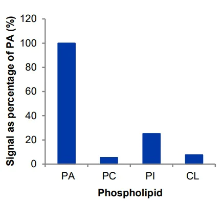 Functional Studies - Phosphatidic Acid Assay Kit (Fluorometric) (AB273335)