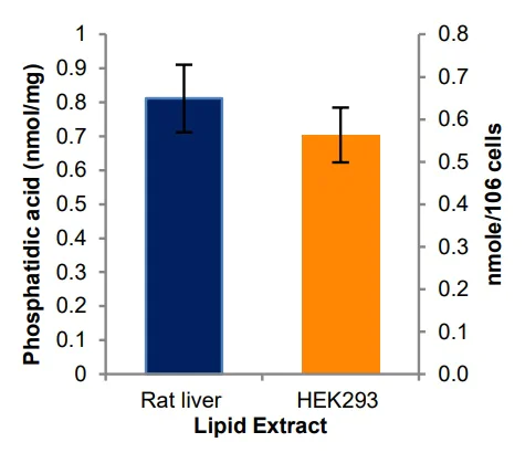 Functional Studies - Phosphatidic Acid Assay Kit (Fluorometric) (AB273335)