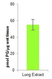 Functional Studies - Phosphatidylglycerol Assay Kit (Fluorometric) (AB273288)