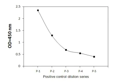 Sandwich ELISA - Phospho-ABL1 (Y245) and Total ABL1 ELISA Kit (AB279728)