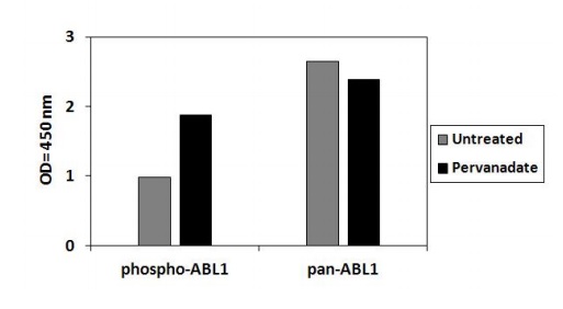 Sandwich ELISA - Phospho-ABL1 (Y245) and Total ABL1 ELISA Kit (AB279728), expandable thumbnail