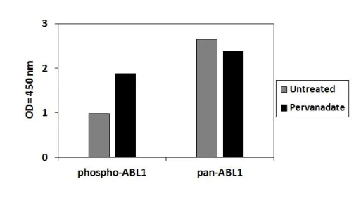 Sandwich ELISA - Phospho-ABL1 (Y245) and Total ABL1 ELISA Kit (AB279728)