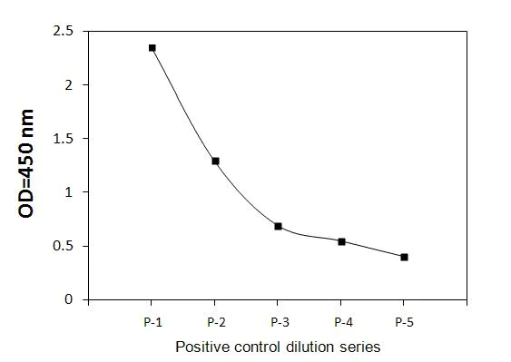 Sandwich ELISA - Phospho-ABL1 (Y245) ELISA Kit (AB279727)