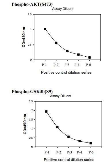 Sandwich ELISA - Phospho-AKT / GSK3 beta / mTor ELISA kit (AB279732)