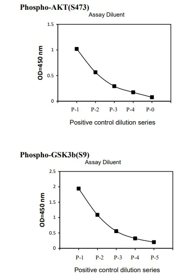 Sandwich ELISA - Phospho-AKT / GSK3 beta / mTor ELISA kit (AB279732)