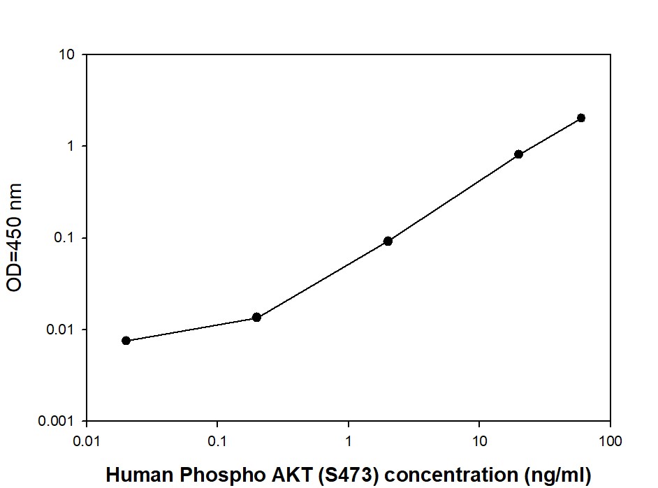 Sandwich ELISA - Phospho-AKT1 (S473) Quantitative ELISA kit (AB279731), expandable thumbnail