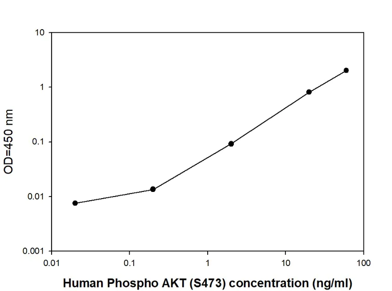 Sandwich ELISA - Phospho-AKT1 (S473) Quantitative ELISA kit (AB279731)