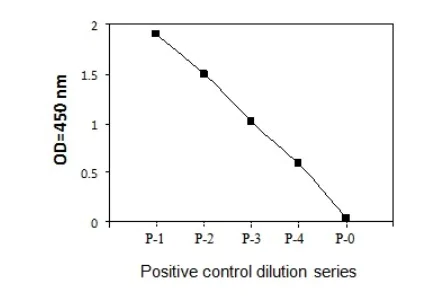 Sandwich ELISA - Phospho-Amyloid Precursor Protein (T668) and Total Amyloid Precursor Protein ELISA Kit (AB279736)