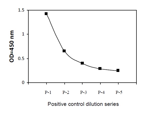 Sandwich ELISA - Phospho-ATM (S1981) ELISA Kit (AB279739)