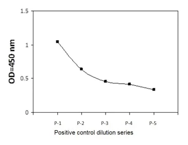 Sandwich ELISA - Phospho-ATR (T1989) and Total ATR ELISA Kit (AB279742)