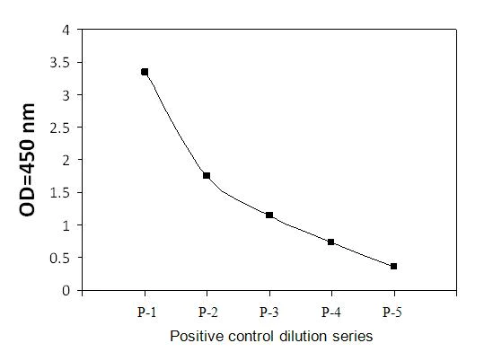 Sandwich ELISA - Phospho-Axl (Y779) ELISA Kit (AB279743)