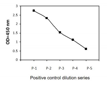 Sandwich ELISA - Phospho-Beclin 1 (S234) and Total Beclin 1 ELISA Kit (AB279748)