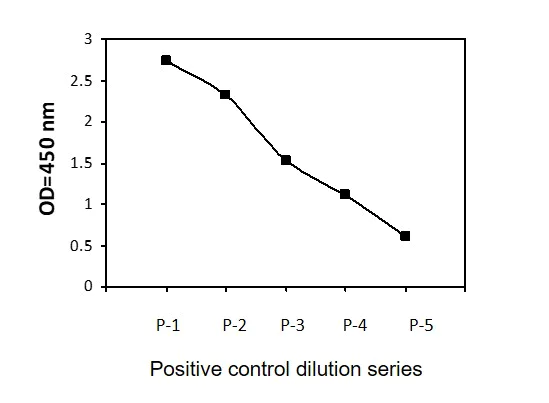 Sandwich ELISA - Phospho-Beclin 1 (S234) ELISA Kit (AB279747)