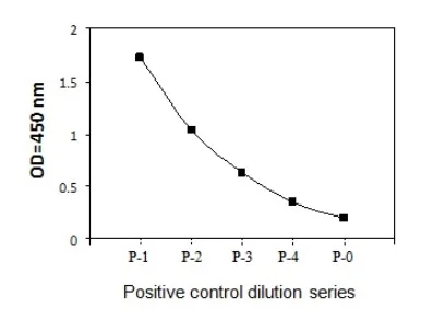 Sandwich ELISA - Phospho-BTK (Y551) and Total BTK ELISA Kit (AB279753)