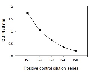 Sandwich ELISA - Phospho-BTK (Y551) ELISA Kit (AB279751)