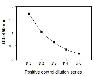 Sandwich ELISA - Phospho-BTK (Y551) ELISA Kit (AB279751)