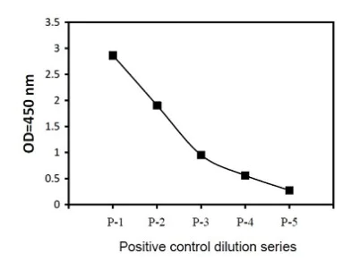 Sandwich ELISA - Phospho-c-Fos (T232) and Total c-Fos ELISA Kit (AB279758)