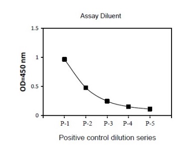 Sandwich ELISA - Phospho-c-Jun (S63) and Total c-Jun ELISA Kit (AB279844)