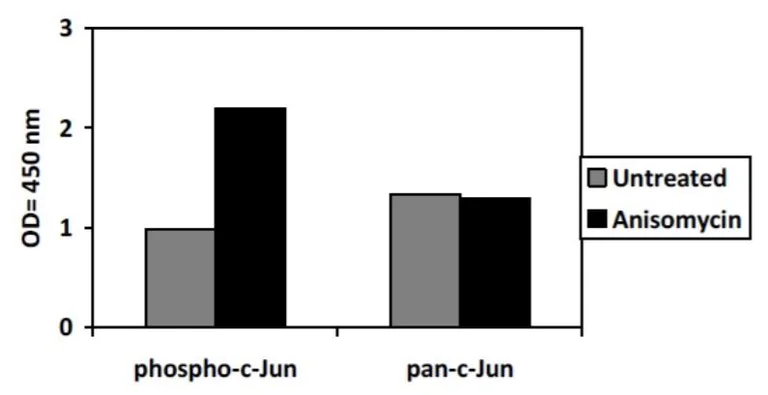 Sandwich ELISA - Phospho-c-Jun (S63) and Total c-Jun ELISA Kit (AB279844)