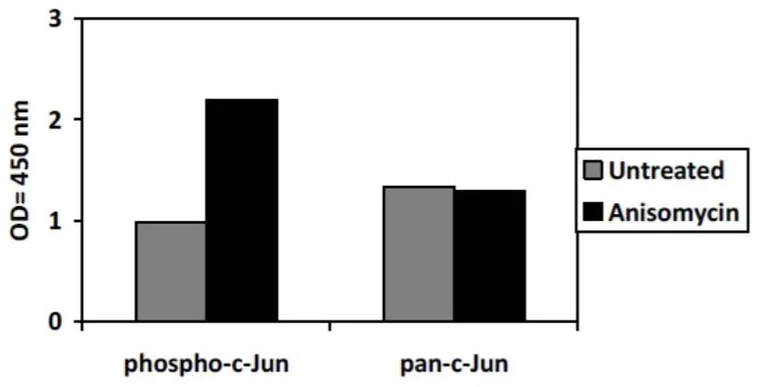Sandwich ELISA - Phospho-c-Jun (S63) ELISA Kit (AB279843)