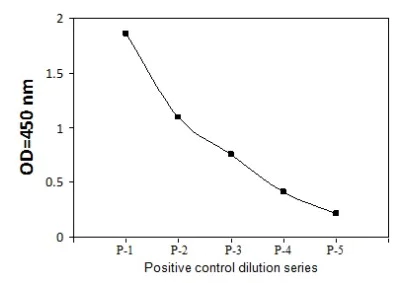 Sandwich ELISA - Phospho-Caveolin-1 (Y14) and Total Caveolin-1 ELISA Kit (AB279755)