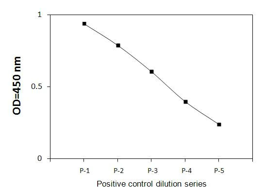 Sandwich ELISA - Phospho-CDK1 (T161) ELISA Kit (AB279756)