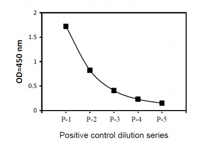Sandwich ELISA - Phospho-Chk1 (S280) and Total Chk1 ELISA Kit (AB279760)